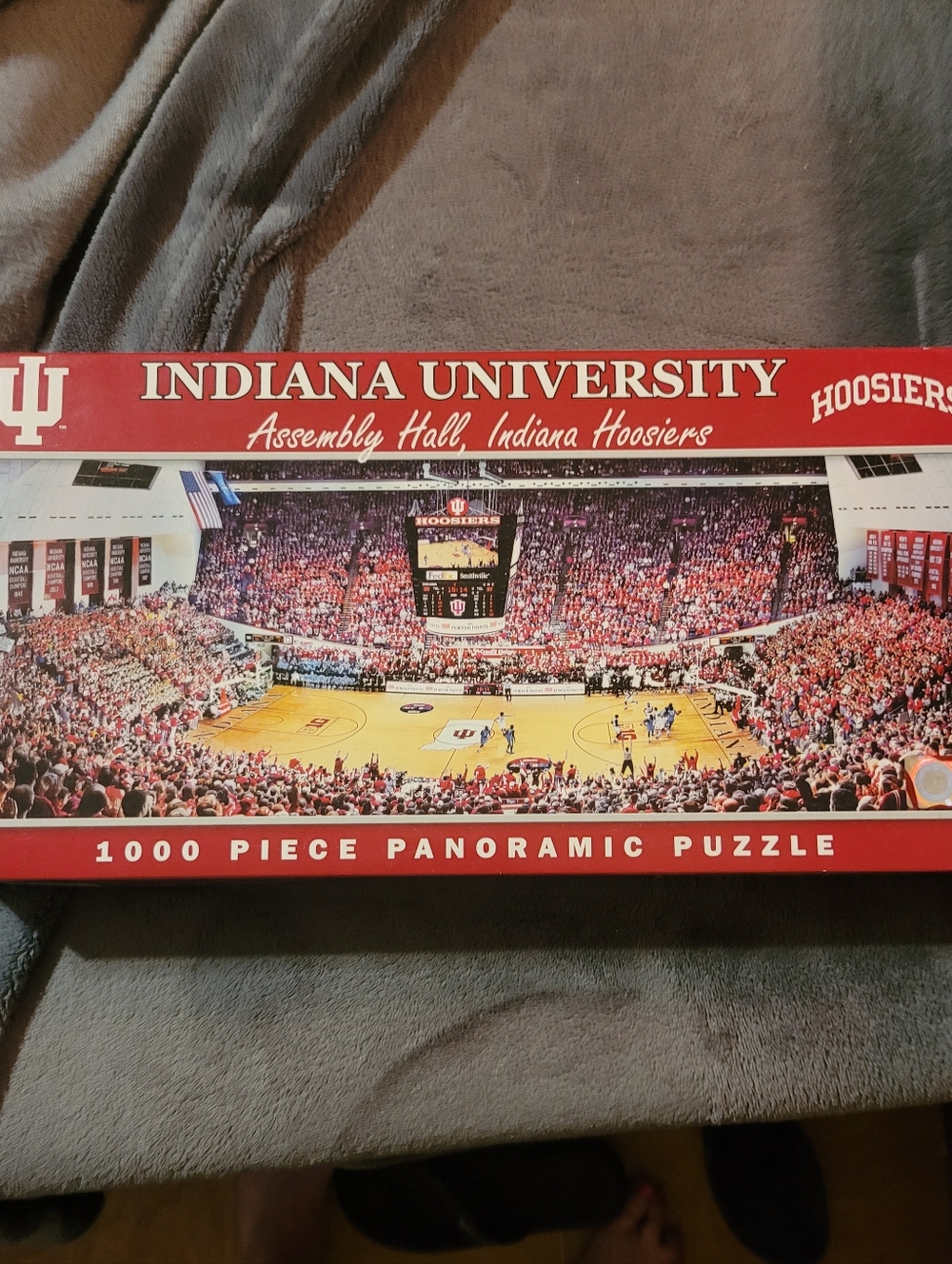 Indiana University Hoosiers Panoramic 1000-Piece Puzzle - Red